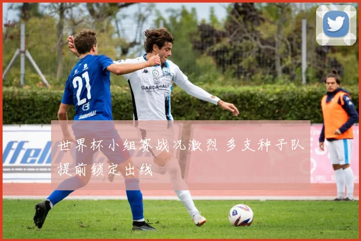 世界杯小组赛战况激烈 多支种子队提前锁定出线