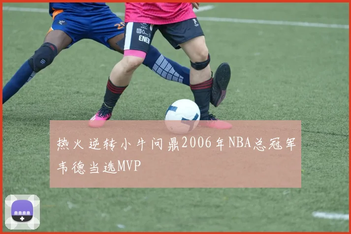 热火逆转小牛问鼎2006年NBA总冠军韦德当选MVP