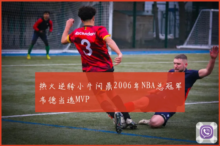 热火逆转小牛问鼎2006年NBA总冠军韦德当选MVP