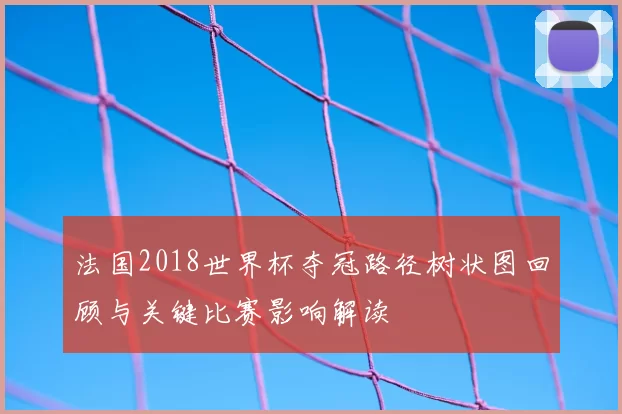 法国2018世界杯夺冠路径树状图回顾与关键比赛影响解读