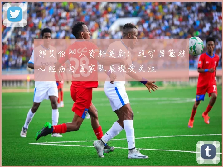 郭艾伦个人资料更新：辽宁男篮核心经历与国家队表现受关注