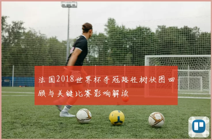 法国2018世界杯夺冠路径树状图回顾与关键比赛影响解读